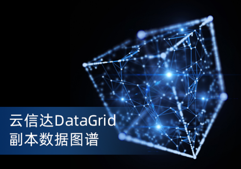 DataGrid副本数据图谱