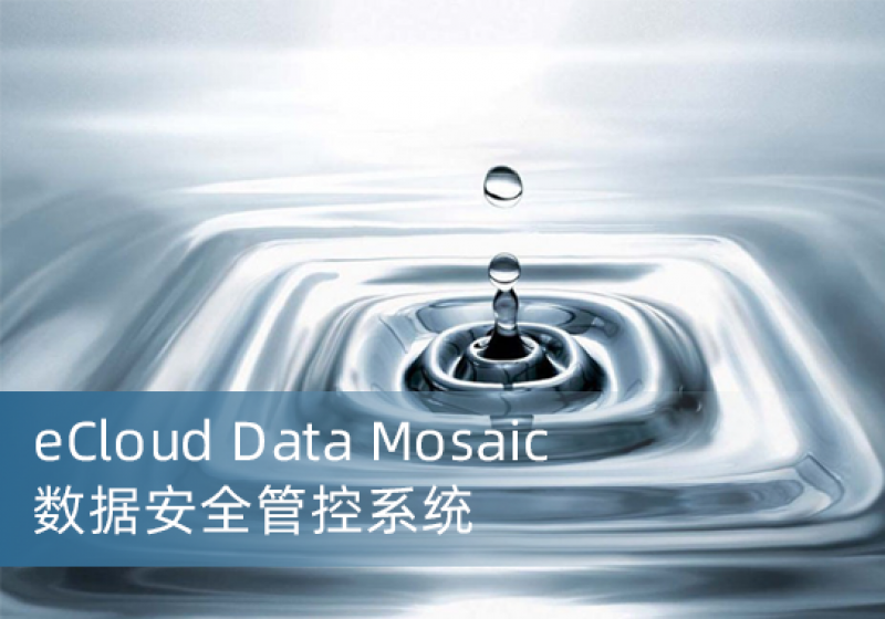 Data Mosaic数据安全管控系统